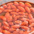 ที่ดีที่สุดอินทรีย์ wolfberry goji แห้งขาย